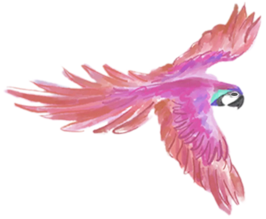 Pink Bird