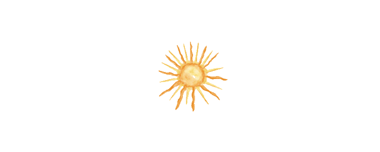 animation